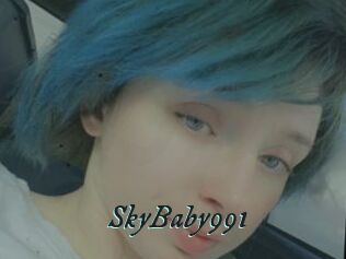 SkyBaby991