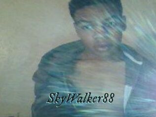 SkyWalker88