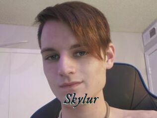 Skylur