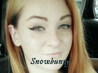 Sn0wbunny