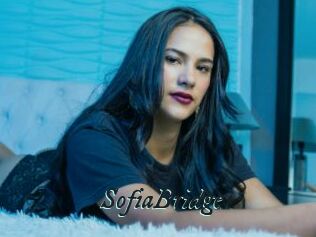 SofiaBridge