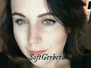 SoftGerbera