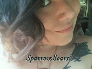 SparrowSoars