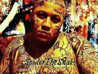 SpiderTheSnake