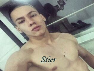 Stier