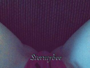 Stormyboo