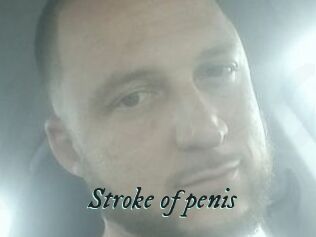 Stroke_of_penis