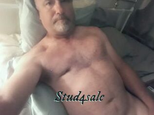 Stud4sale