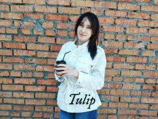 Tulip