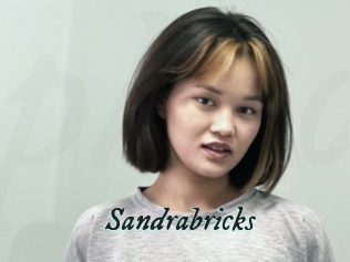 Sandrabricks