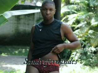 Sandrofernandes