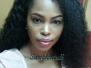 Sanelentuli