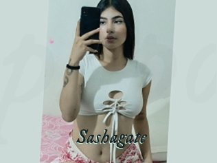 Sashagate