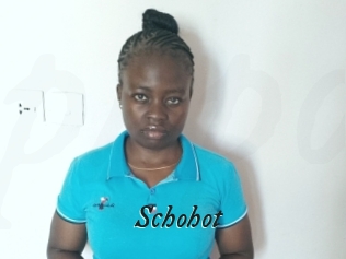 Schohot