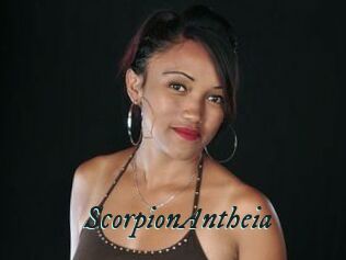 ScorpionAntheia