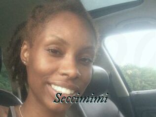 Seccimimi