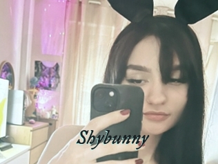 Shybunny