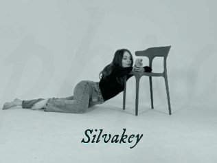 Silvakey
