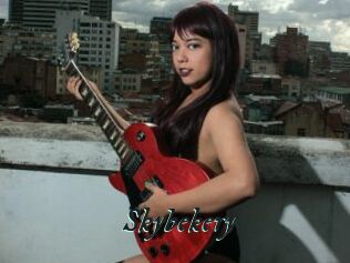 Skybekery