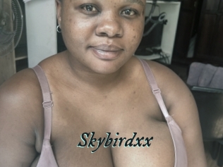Skybirdxx