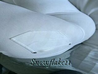 Snowflake21