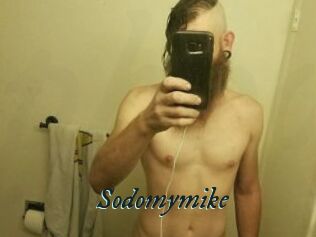 Sodomymike