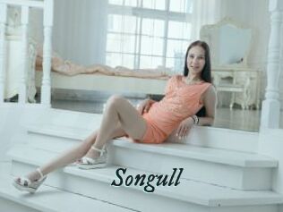 Songull