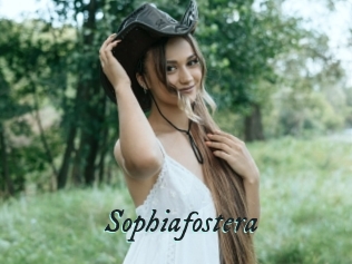 Sophiafostera