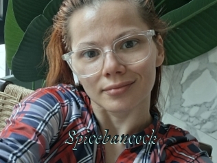 Spicebancock