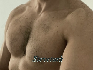 Steveturk