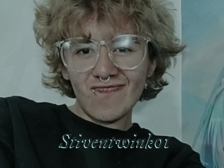 Stiventwink01