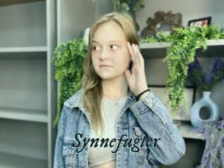 Synnefugler