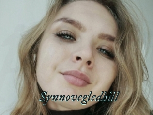 Synnovegledhill
