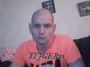 TIJGER01