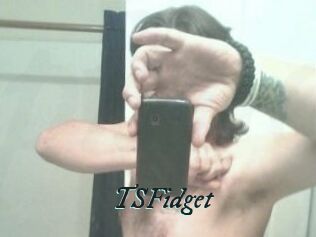 TSFidget