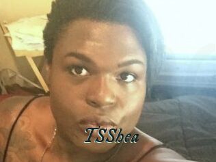 TS_Shea