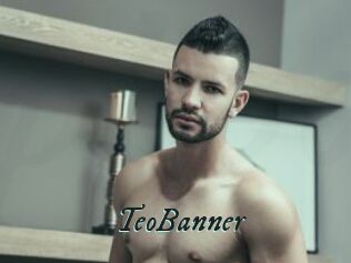 TeoBanner
