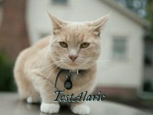 TestAlaric
