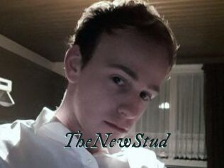 TheNewStud