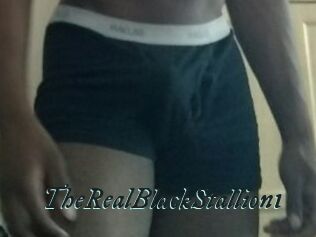 TheRealBlackStallion1