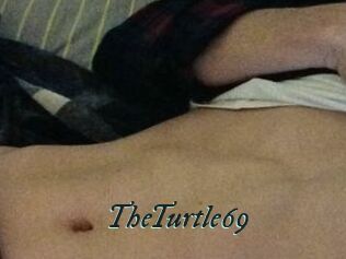 TheTurtle69
