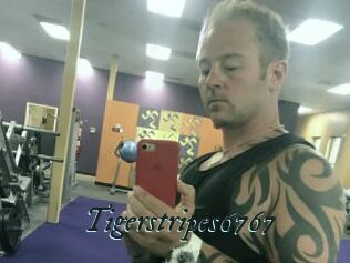 Tigerstripes6767