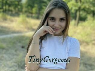 TinyGorgeous