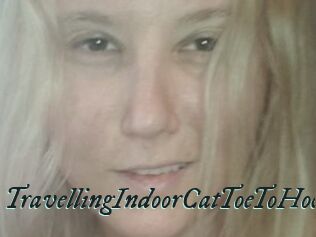 TravellingIndoorCatToeToHoe