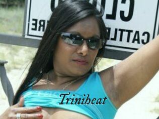 Triniheat