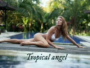 Tropical_angel