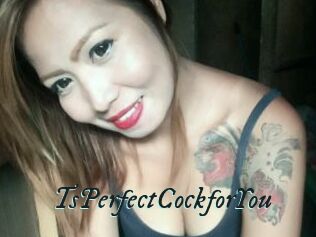 TsPerfectCockforYou