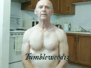 Tumbleweed13 Pharaons Porn