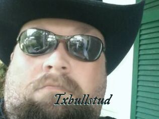 Txbullstud