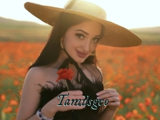 Tamilsgeo